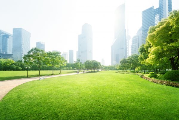 Commercial Landscape Maintenance in Stuart
