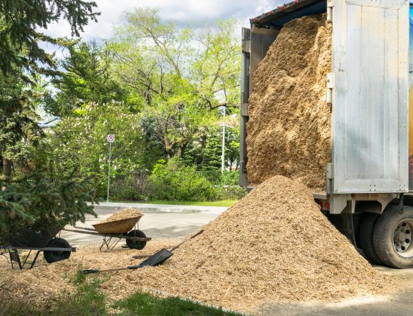 Wood Chips Delivery in Stuart