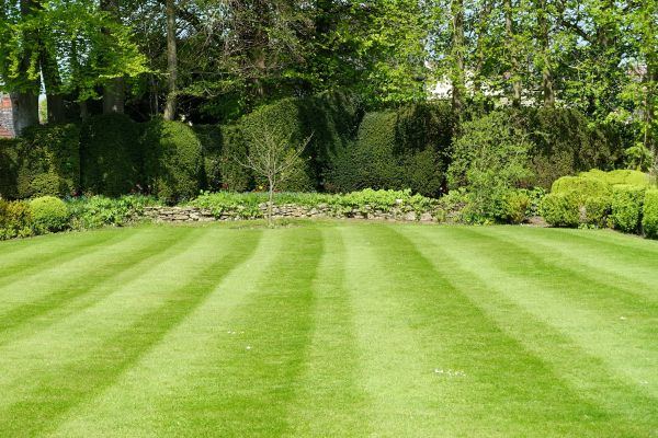 Lawn Renovation in Stuart