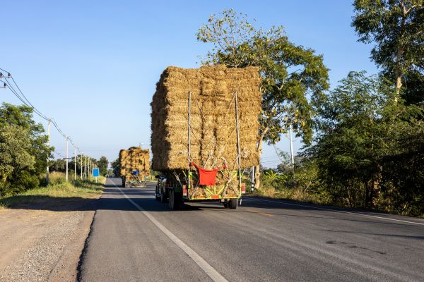 Pine Straw Delivery in Stuart