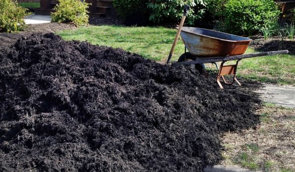 Black Mulch Delivery in Stuart