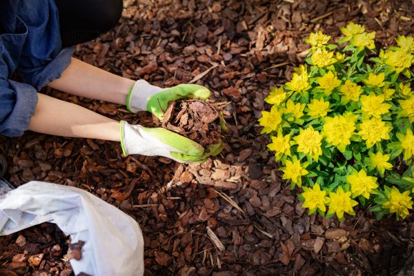 Garden Mulching in Stuart