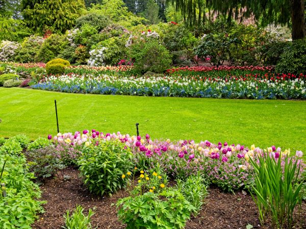 Residential Landscape Design in Stuart