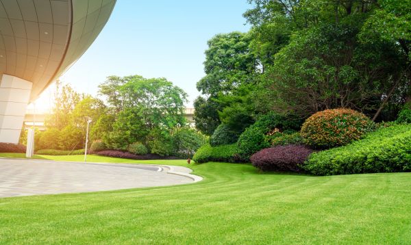 Business Landscape Design in Stuart
