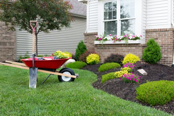 Tree And Shrub Planting in Stuart