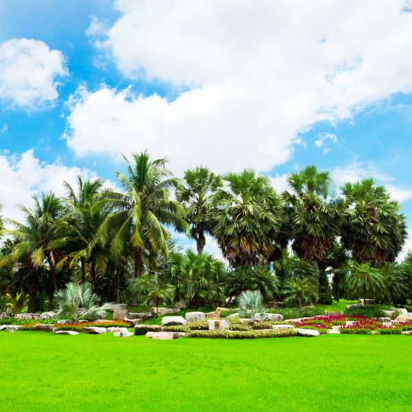 Tropical Landscaping in Stuart