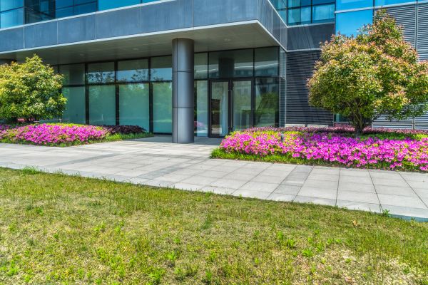 Commercial Gardening in Stuart