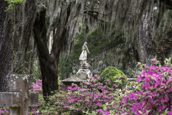 Cemetery Landscaping in Stuart