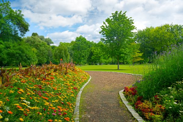 Park Landscaping in Stuart