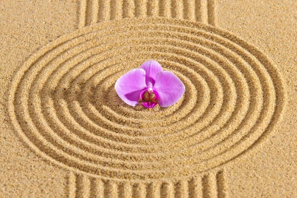 Sand Garden Landscaping in Stuart