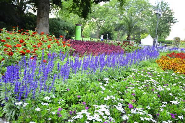 Perennials Planting in Stuart