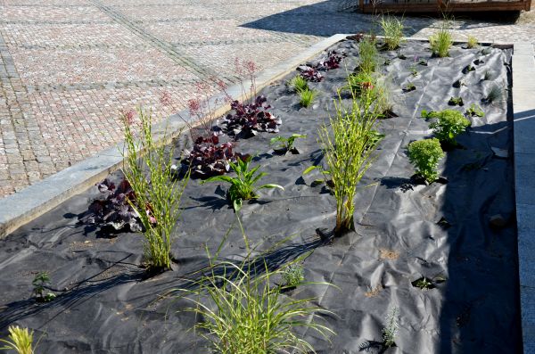 Landscape Fabric Installation in Stuart