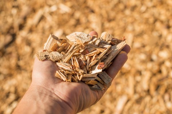 Wood Chips Spreading in Stuart