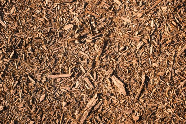 Wood Chips Removal in Stuart