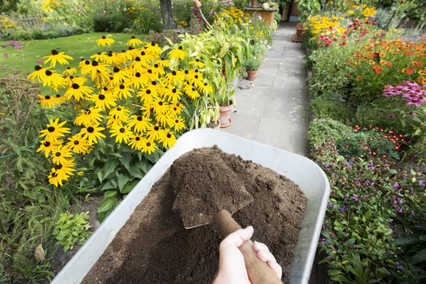 Topsoil Replacement in Stuart