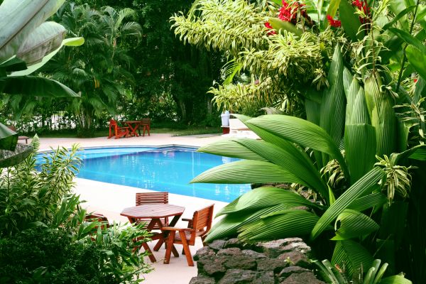 Pool Area Landscaping in Stuart