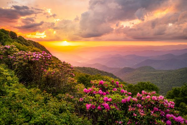 Hill Landscaping in Stuart