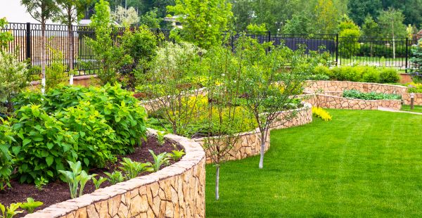 Yard Makeover Service in Stuart