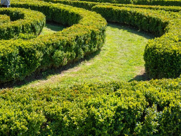 Bush Landscaping in Stuart