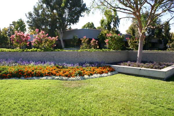 Commercial Landscape Service in Stuart