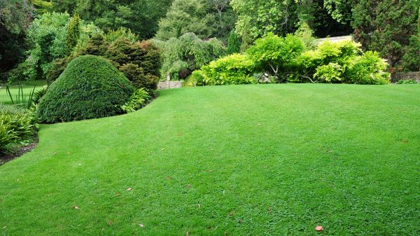 Commercial Landscape Design in Stuart