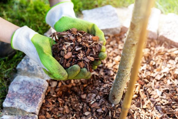 Tree Bark Delivery in Stuart