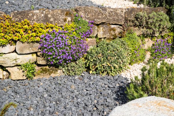 Landscaping Rocks Installation in Stuart