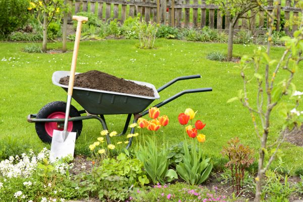 Spring Yard Renovation in Stuart