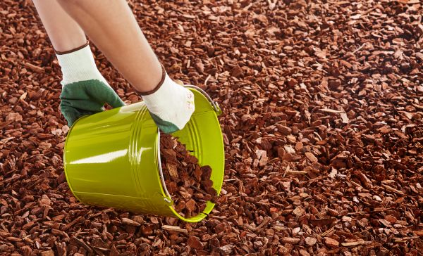 Wood Chip Landscaping in Stuart