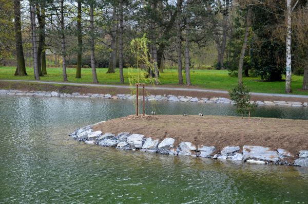 Pond Landscaping Service in Stuart