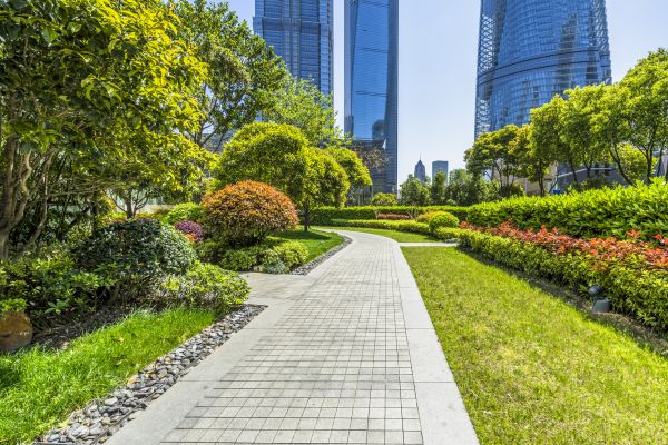 Commercial Landscaping in Stuart