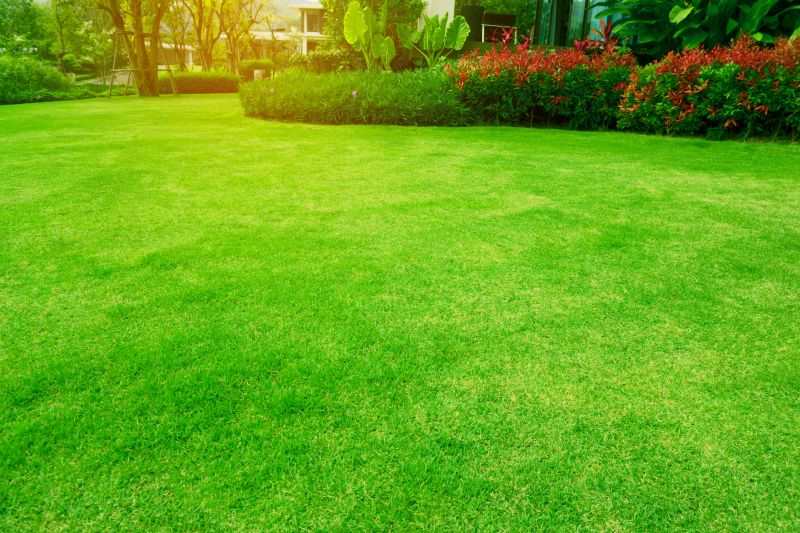 Lush Lawn and Garden