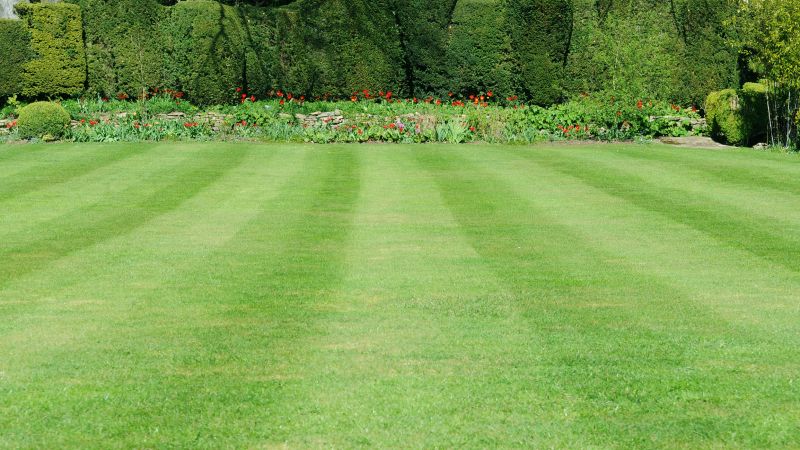 Lawn Bordering